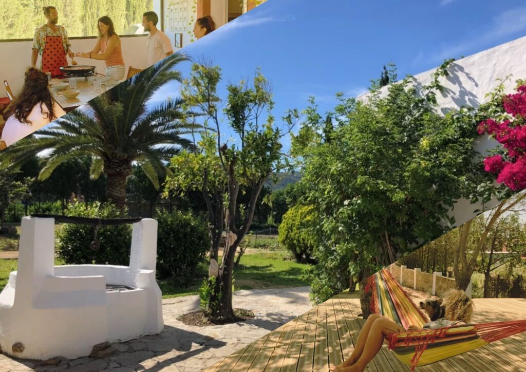 A collage of pictures featuring people relaxing in hammocks.