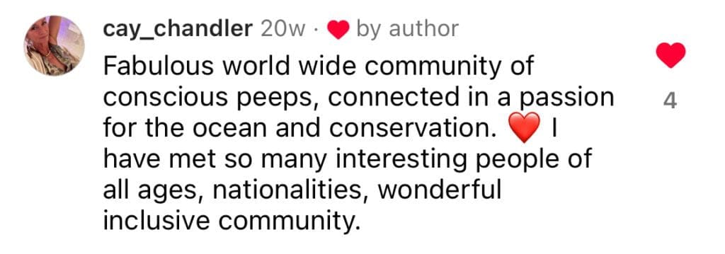 Cay Chandler's worldwide community of oceans and oceans connected in a passion for home decor.