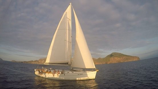 A white sailboat with its sails raised is on the open water near a coastal, mountainous landscape under a cloudy sky. Several people, including a marine biologist, are seated on the boat's deck.